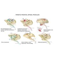 Bufacchi et AL